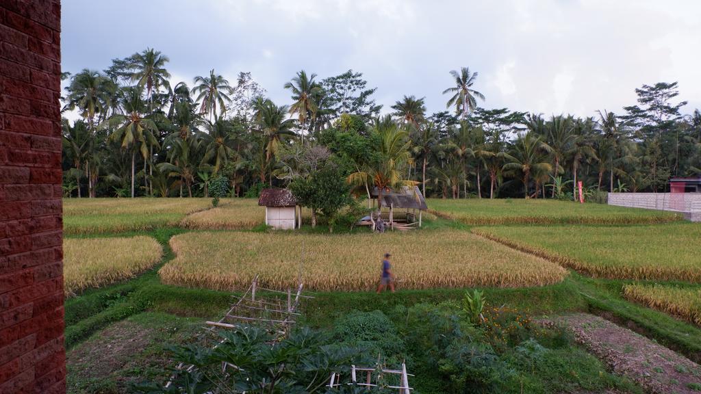 Wayan Garden Hotel Ubud Exterior foto