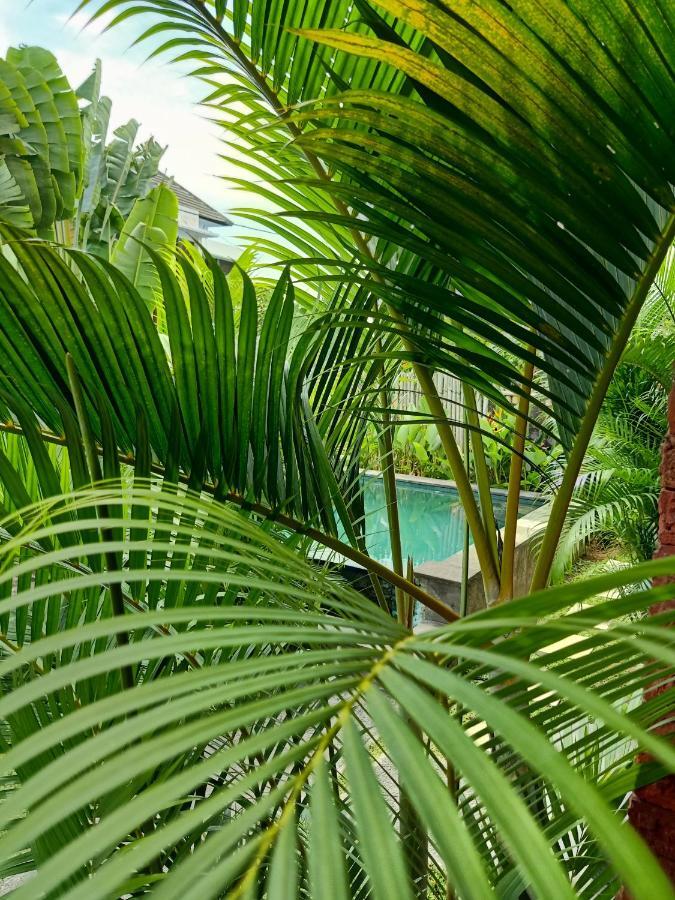 Wayan Garden Hotel Ubud Exterior foto